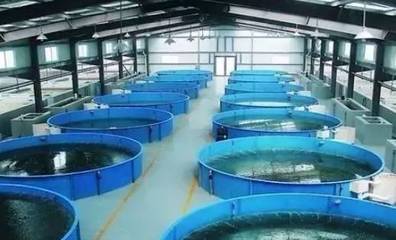 既要養好魚，又要護生態 一文秒懂《工廠化水產養殖系統》安裝指南